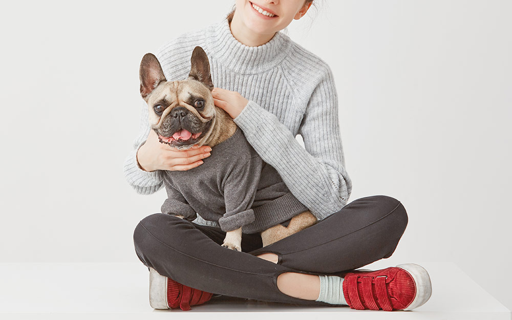 ペット用品のイメージ